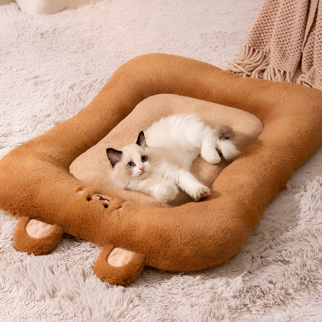 Choosing the Perfect Pet Bed